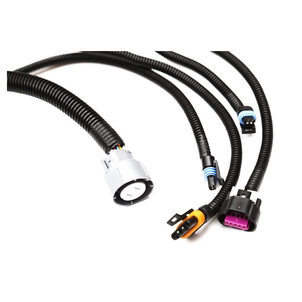 1999-2003 DBC LS1 4L60E Engine Harness Fit For DBC LEV1 4.8 5.3 6.0 1999 2000 2001 2002 2003 EV1-Injector Plug - ONESOOP